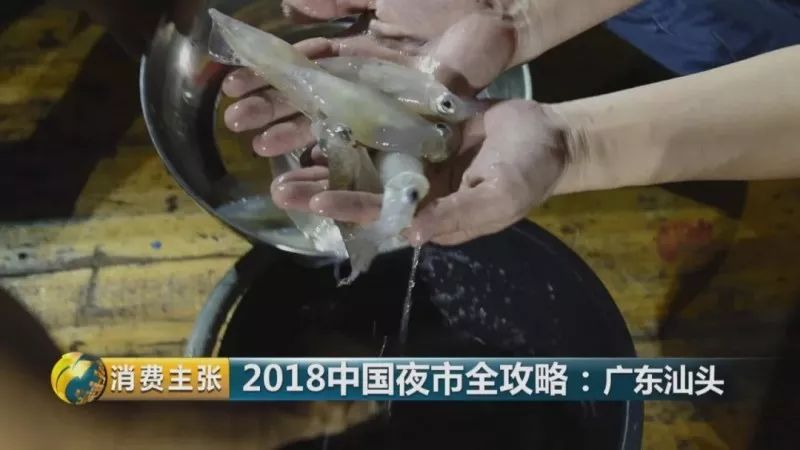 潮汕美食地点推荐_美食潮汕地点推荐大全_美食潮汕地点推荐怎么写